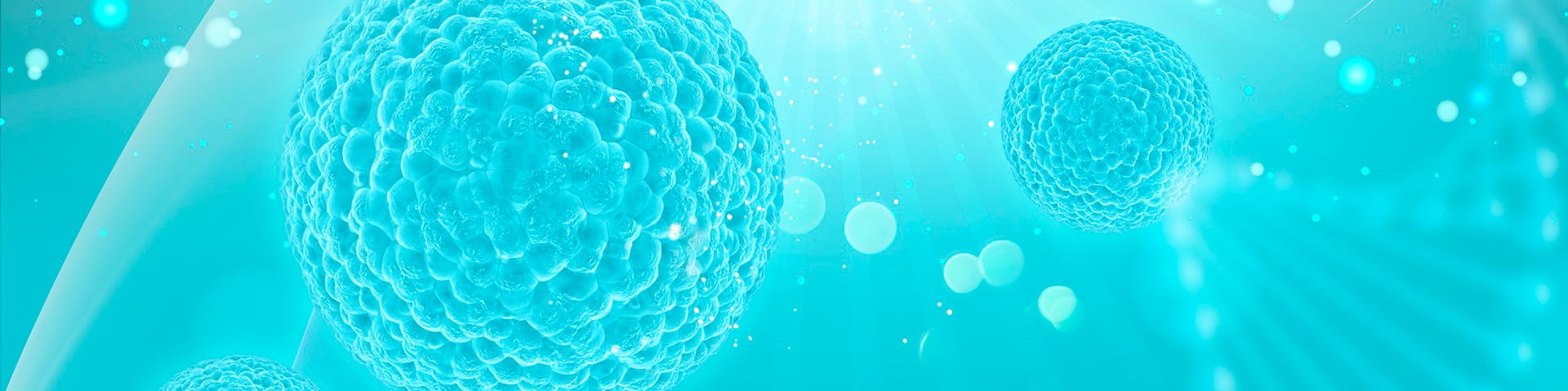 Oncología