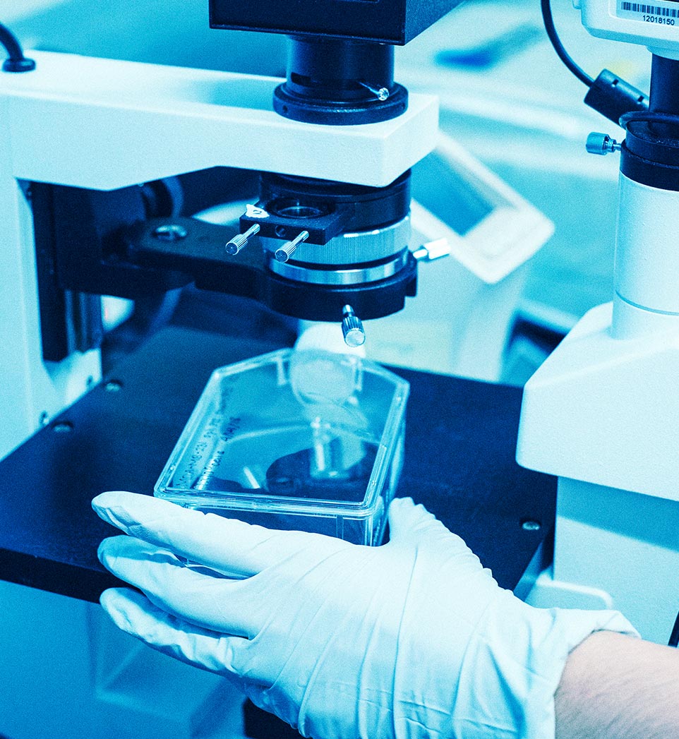 Oncología y Hematología